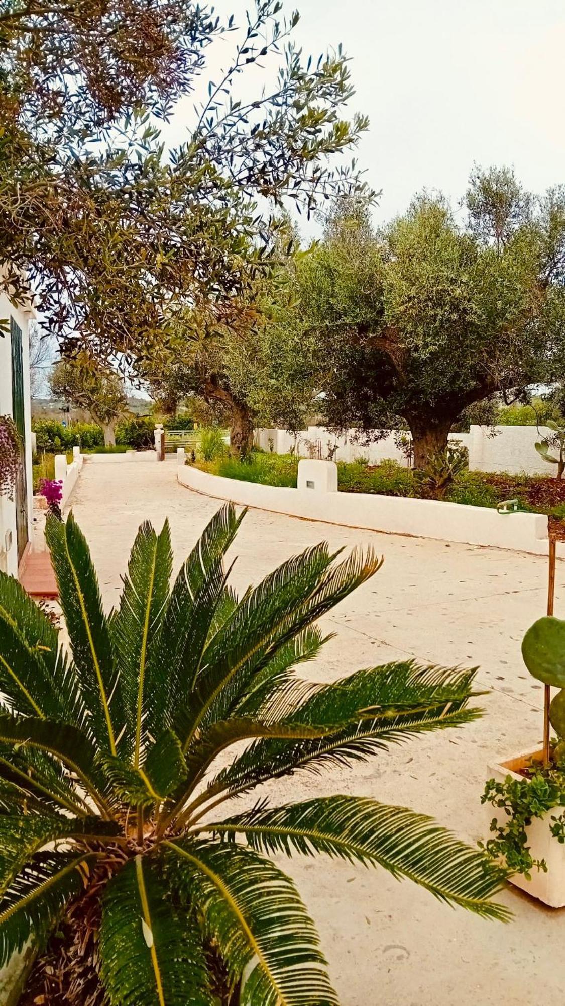 A&B Homes Leuca Countryside Santa Maria di Leuca Esterno foto